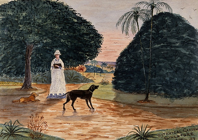 the lady and the pet dog