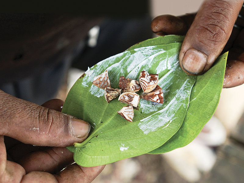 areca nut chewing